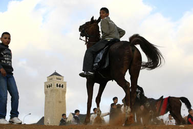 רכיבה על סוסים בחגיגות עיד אל-אדחה, ליד אוגוסטה ויקטוריה בירושלים. דצמבר 2008 (צילום: נתי שוחט)
