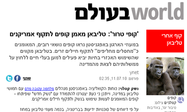 "קופי טרור". הידיעה באתר ynet