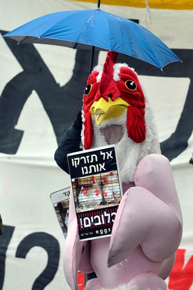 הפגנה נגד תנאי גידול תרנגולות, אתמול בירושלים (צילום: יואב ארי דודקביץ')