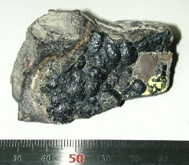 אורניניט, מינרל שממנו מופק אורניום (צילום: wikipedia, רשיון cc)
