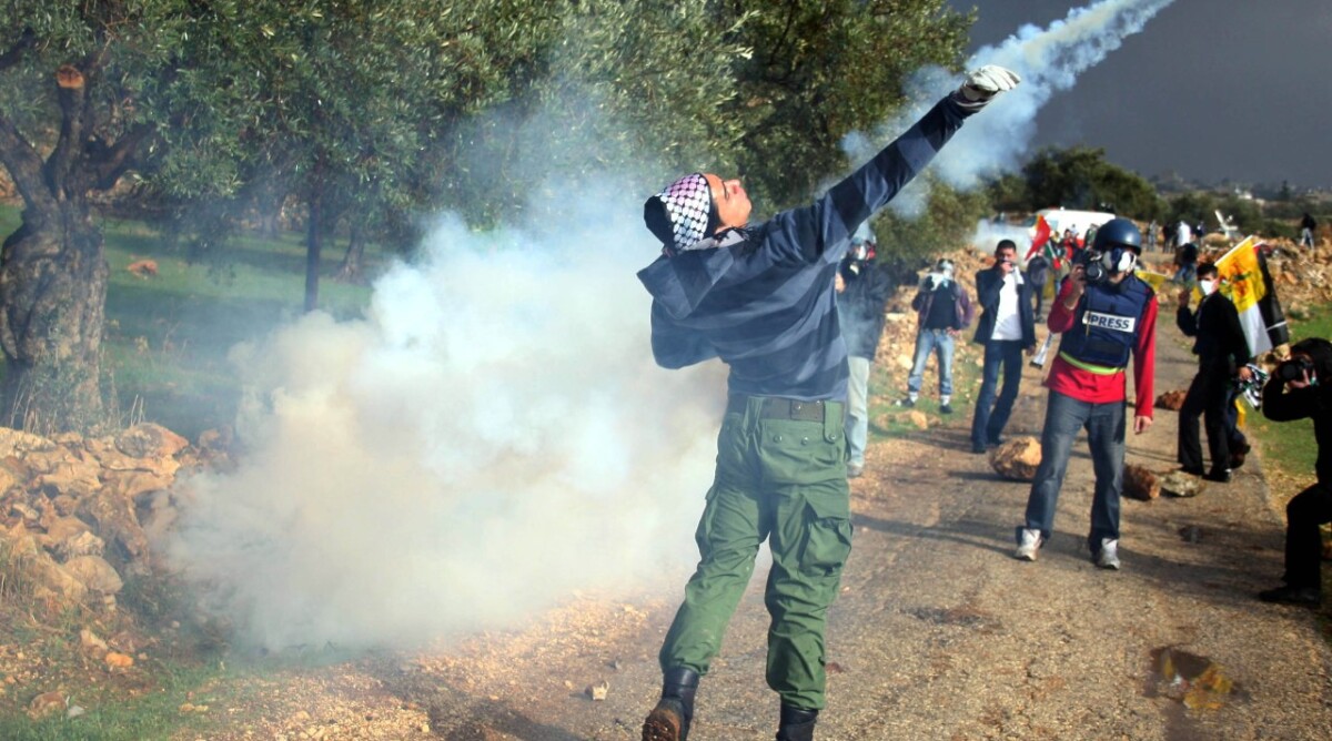 מפגין פלסטיני משליך רימון גז, שלשום במהלך ההפגנה ליד בילעין (צילום: עיסאם רימאווי)
