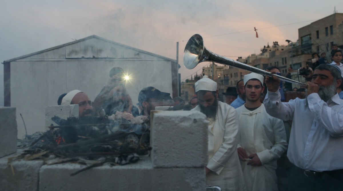 יהודים מקריבים קורבן פסח בירושלים, 21.3.2013 (צילום: נתי שוחט)