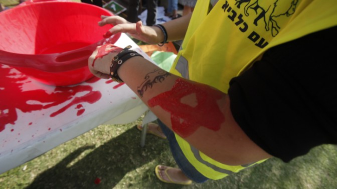 פעיל המתנגד לשחרור אסירים פלסטינים טובל את ידיו בצבע אדום במסגרת מחאה אתמול בתל-אביב נגד השחרור (צילום: פלאש 90)