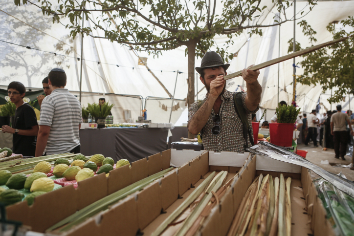 לקוח בוחן לולב בשוק "ארבעת המינים" אתמול בירושלים (צילום: מרים אלסטר)