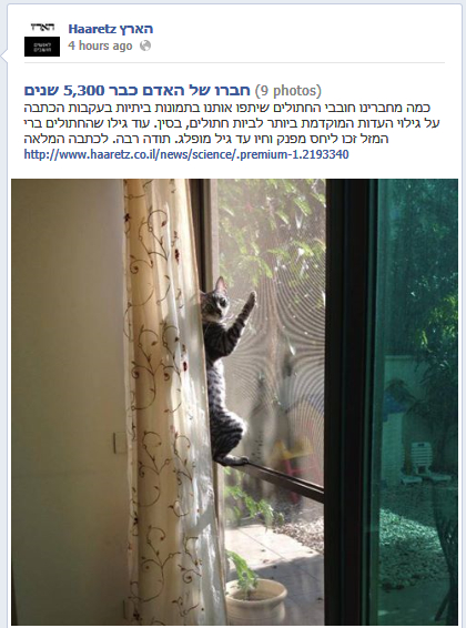 הזמנה לשליחת תמונות חתולים, דף הפייסבוק של "הארץ"