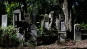 בית קברות יהודי בוורשה, פולין (צילום: מרים אלסטר)