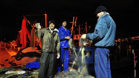 דייגים בקישון (צילום: שי לוי)