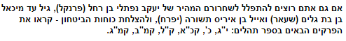 קטע מתוך כתבה שפורסמה באתר ynet (צילום מסך)