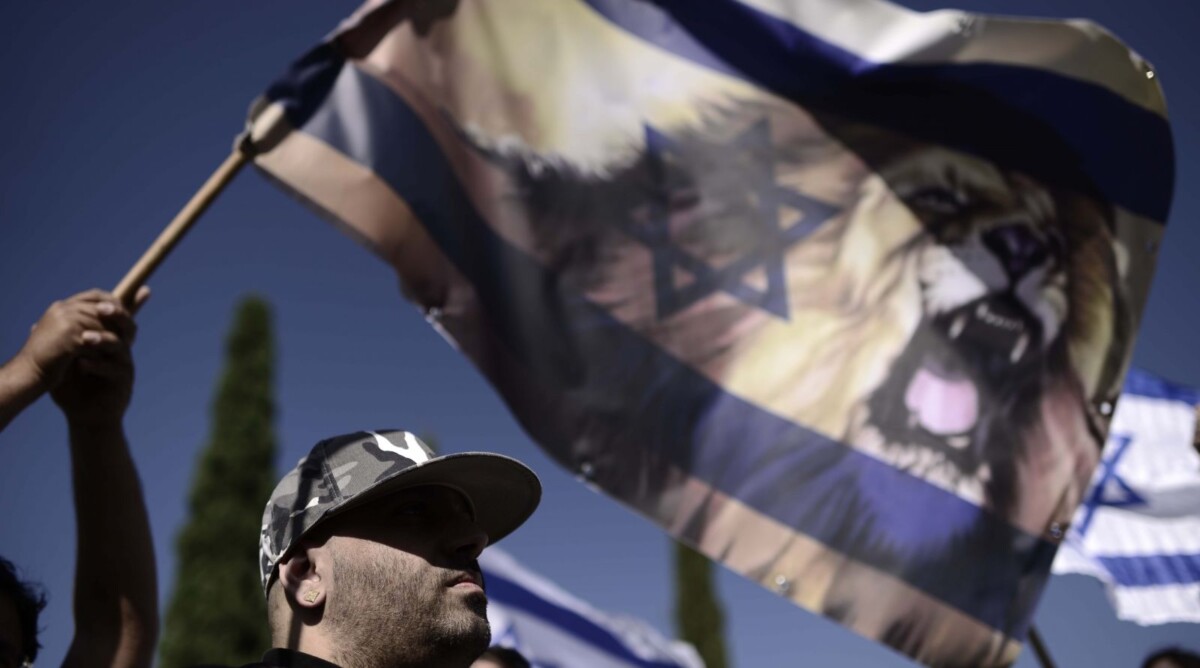 דגל ישראל בהפגנת פעילי ימין מול אוניברסיטת תל-אביב, 20.11.14 (צילום: תומר נויברג)
