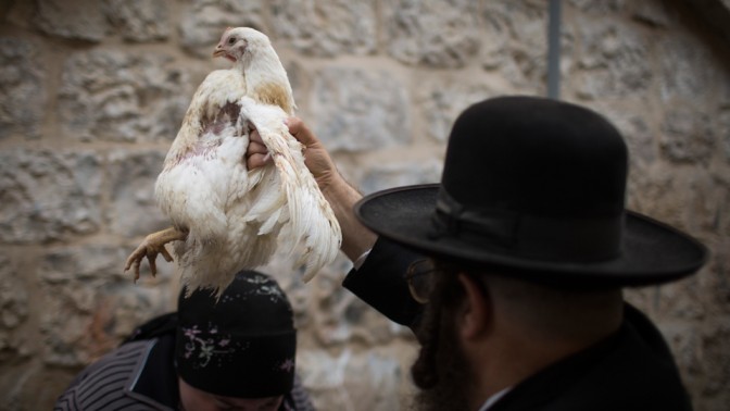 יהודי חרדי מניף תרנגולת מעל ראשה של אשה במסגרת טקס כפרות. ירושלים, 2014 (צילום: הדס פרוש)
