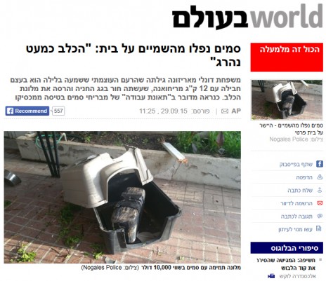 הידיעה באתר ynet