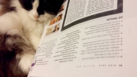 המדור "20 שאלות" ב"מוסף הארץ" וחתול, ינואר 2016 (צילום: "העין השביעית")