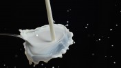 חלב (CC0 Public Domain)