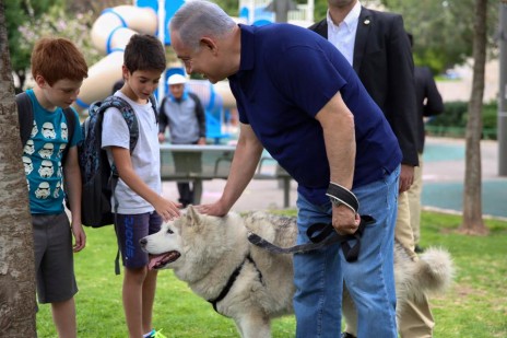 תמונה 3: נתניהו בגובה העיניים עם ילדים מלטפים את הכלבה קאיה, 13.5.16 (צילום: צלם לא ידוע, פורסם בעמוד הפייסבוק של ראש הממשלה ללא קרדיט)