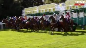 שידור ישיר בערוץ one של מירוץ סוסים באנגליה