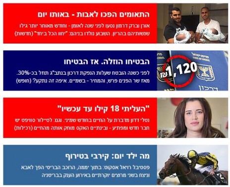 ynet מקדם מירוץ סוסים, 16.6 (צילום מסך)