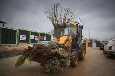 שופל ישראלי נושא עץ עקור בהתנחלות עפרה, 1.3.17 (צילום: הדס פרוש)