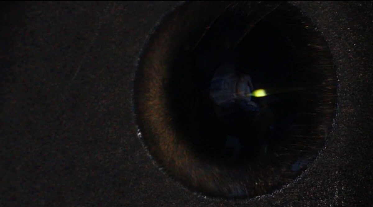 העינית בראש מסך המחשב של אדוארד סנודן, מתוך "סנודן", סרטו העלילתי של אוליבר סטון (צילום מסך)