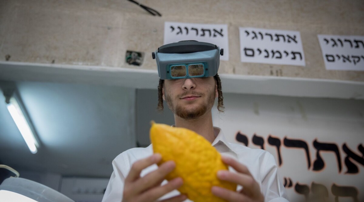 ישראלי מציג אתרוג בדוכן בשכונת מאה-שערים בירושלים, 2.10.17 (צילום: יונתן זינדל)