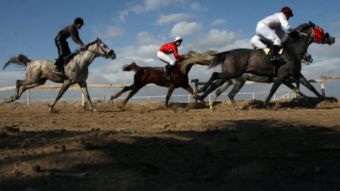 מרוץ סוסים, יריחו 2012 (צילום: עיסאם רימאווי)מרוץ סוסים, יריחו 2012 (צילום: עיסאם רימאווי)
