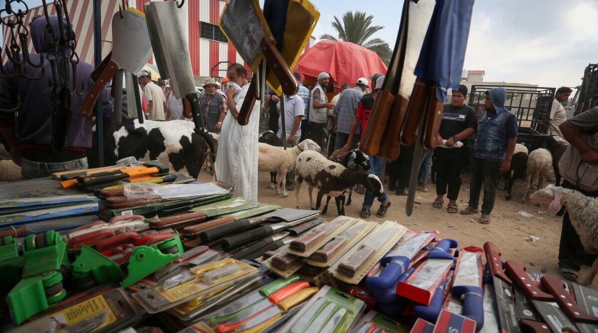 סכינים ובעלי חיים מוצגים למכירה לרגל חג הקורבן במחנה הפליטים אל-בורייג'. רצועת עזה, 8.8.2019 (צילום: עבד רחים חטיב)