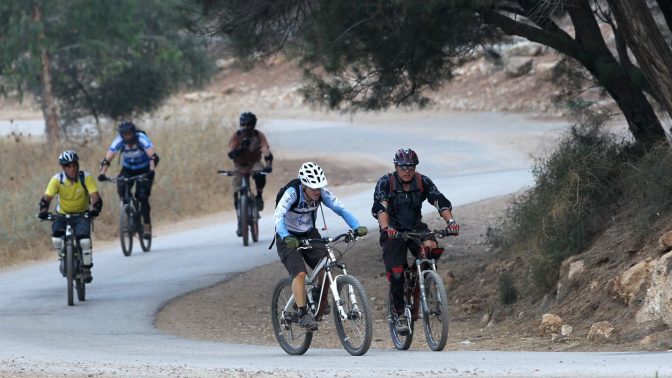 רוכבי אופניים ביער בן-שמן (צילום ארכיון: נתי שוחט)