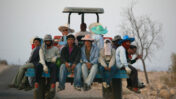 פועלים תאילנדים בערבה (צילום: נתי שוחט)