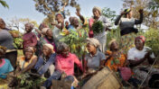 נשים בקמרון (צילום: UN Women/Ryan Brown, רישיון CC BY-NC-ND 2.0)
