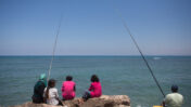 משפחה דגה לחופי חיפה (צילום: מרים אלסטר)
