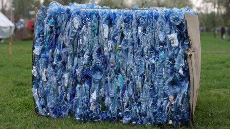 פסולת בקבוקי פלסטיק (צילום: נחלת הכלל)