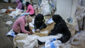 פלסטיניות עובדות במפעל בוטנים ברפיח, עזה, 7.3.2020 (צילום: עבד רחים ח'טיב)