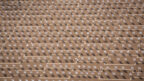 כיסאות פלסטיק בכיכר רבין, כל אחד מייצג אדם שמת מקורונה, 7.9.2020 (צילום: מרים אלסטר)