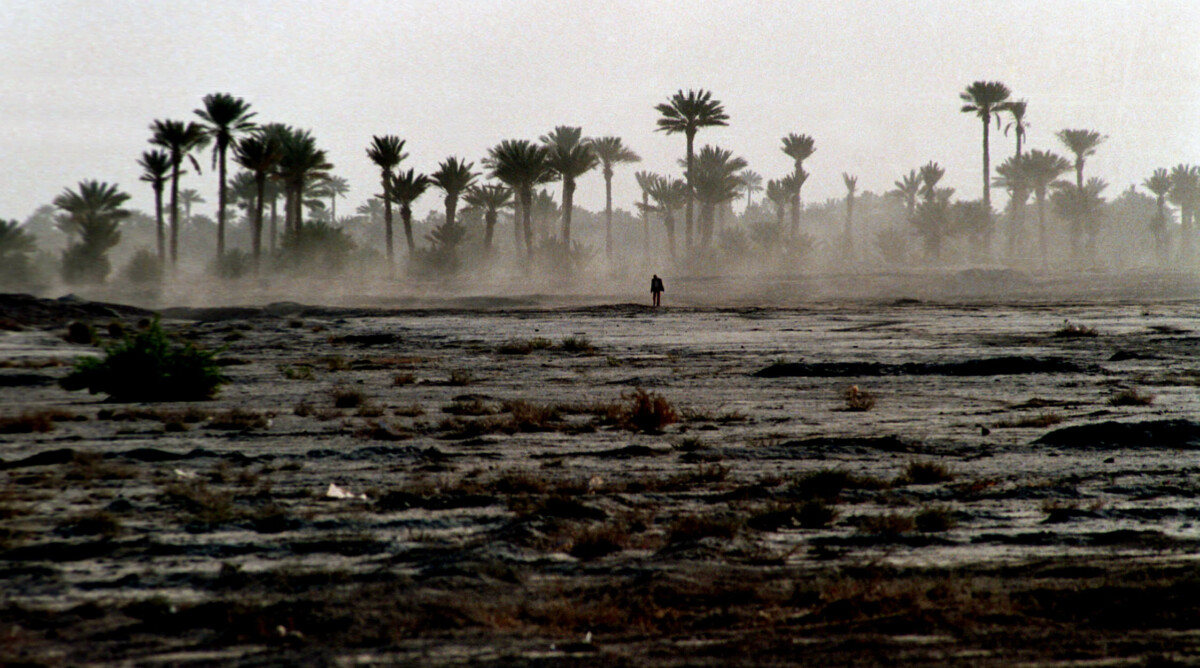 הלך צועד באזור הרי האטלס. מרוקו, מאי 1994 (צילום: נתי שוחט)