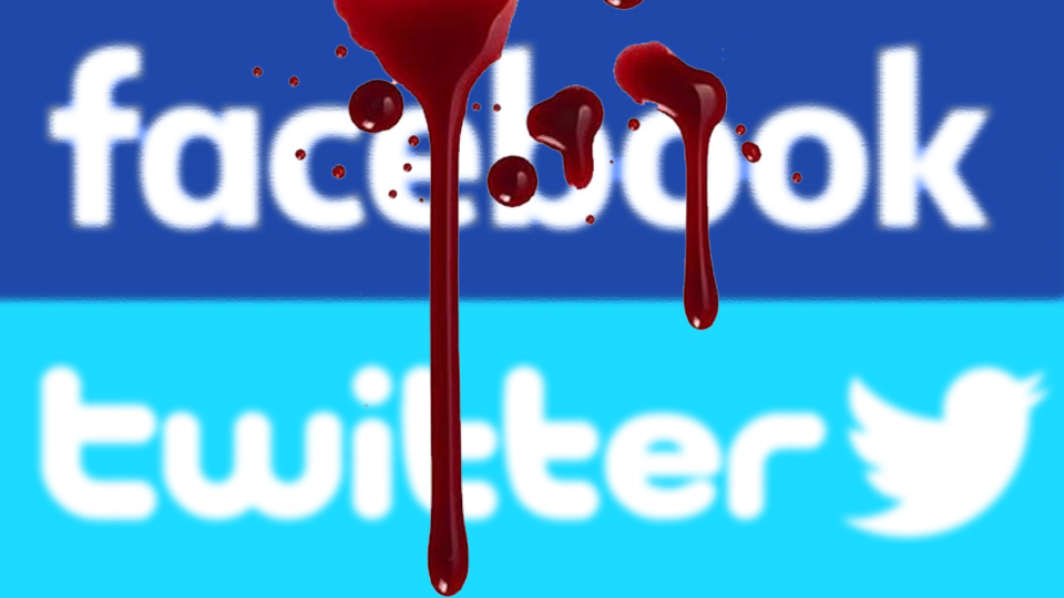 פייסבוק, טוויטר (איור דם: CC BY-NC-ND 4.0)