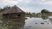 בתים הרוסים ושטחים חקלאיים מוצפים בעיירה בור, במדינת ג׳ונגליי בדרום סודן (צילום: ליאת בירון)