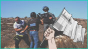 עיתונאים ושוטר מג״ב במסיק זיתים בכפר בורקא (צילום: מיה אויס)