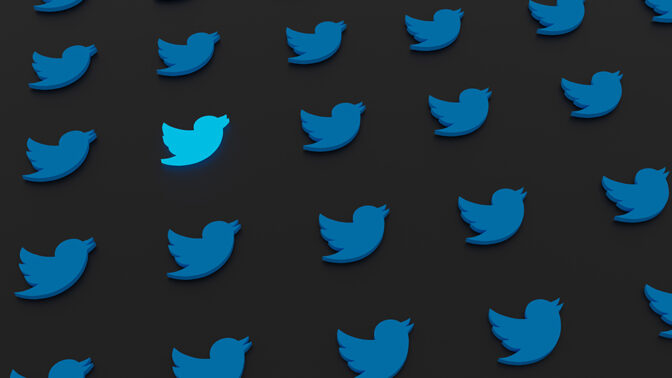 ציפורים טוויטר