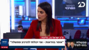 נוה דרומי מראיינת את ח"כ ישראל כ"ץ במהדורת החדשות של ערוץ 20, 28.7 (צילום מסך)