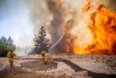 שריפה ביער שורש סמוך לירושלים, 3.8.2021 (צילום: יונתן זינדל)