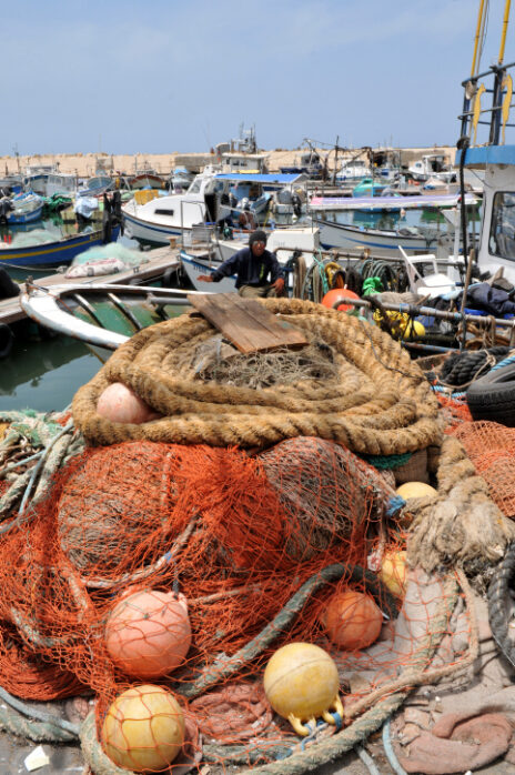 רשתות דיג בנמל יפו (צילום: סופי גורדון)