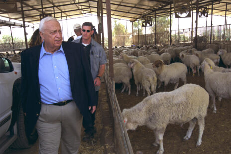 ראש הממשלה אריאל שרון בדיר הכבשים של חוות השיקמים, 2001 (צילום: משה מילנר, לע"מ)