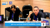 אמיר כרמלי (צילום מסך מערוץ הכנסת)