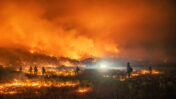 שריפות בארה"ב ב-2020 (צילום: Kyle Miller, Wyoming Hotshots, USFS, cc)