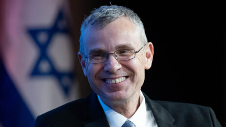 שר המשפטים יריב לוין (צילום: חיים גולדברג)