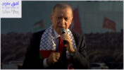 נשיא טורקיה ארדואן מאשים את ישראל בפשעי מלחמה, איסטנבול, 25.10.23 (צילום מסך)