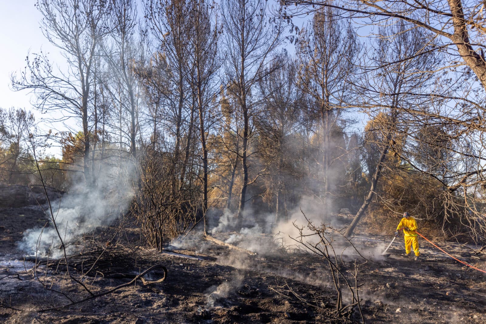 שריפת יער במרכז הארץ, ספטמבר 2023 (צילום: פלאש90)