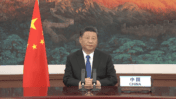 נשיא סין שי ג'ינפינג (צילום מסך)