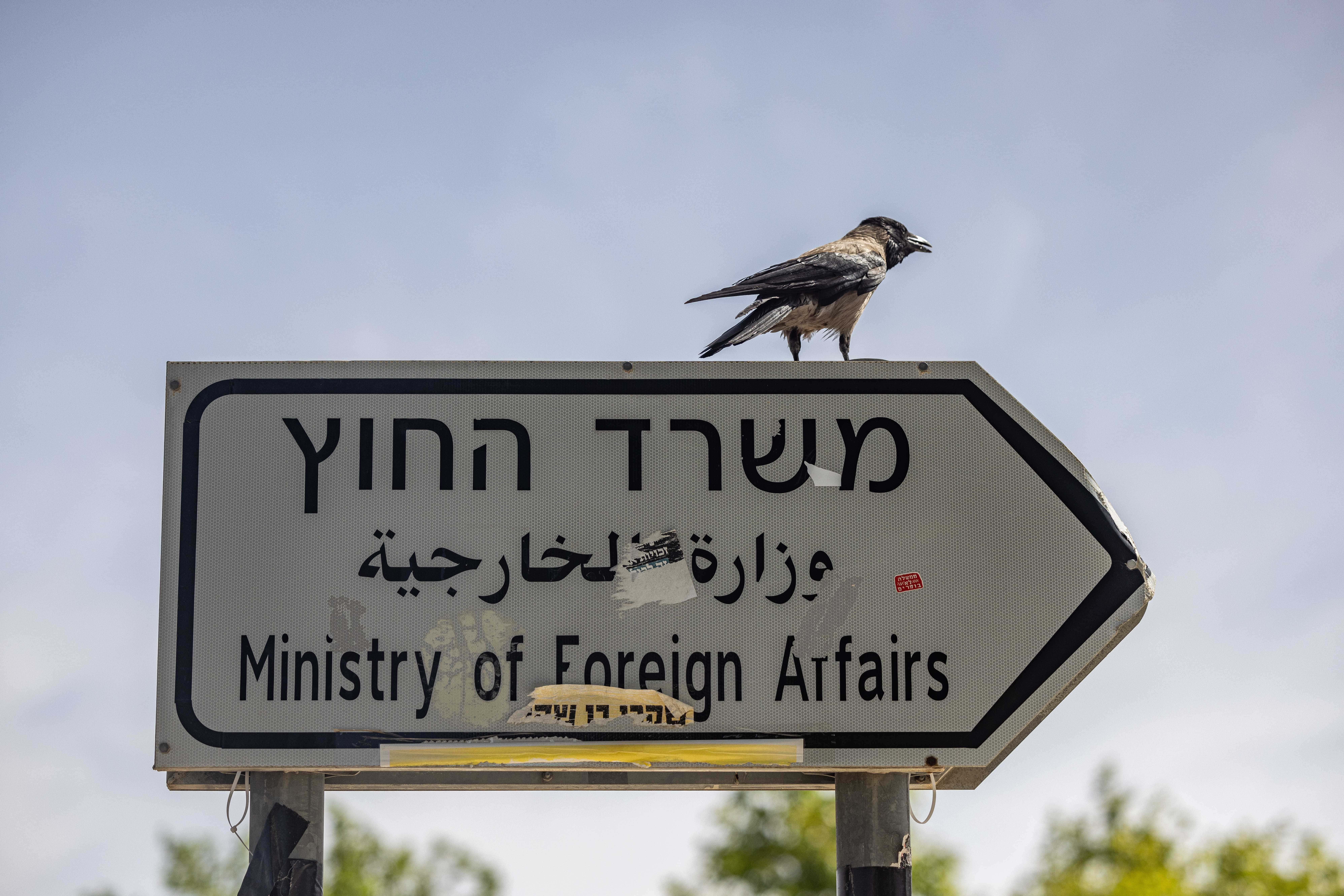 עורב נח על שלט הכוונה למשרד החוץ, ירושלים (צילום: יונתן זינדל)