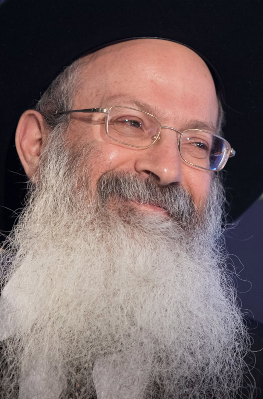 הרב אליעזר מלמד, 2019 (צילום: נעם ריבקין-פנטון)