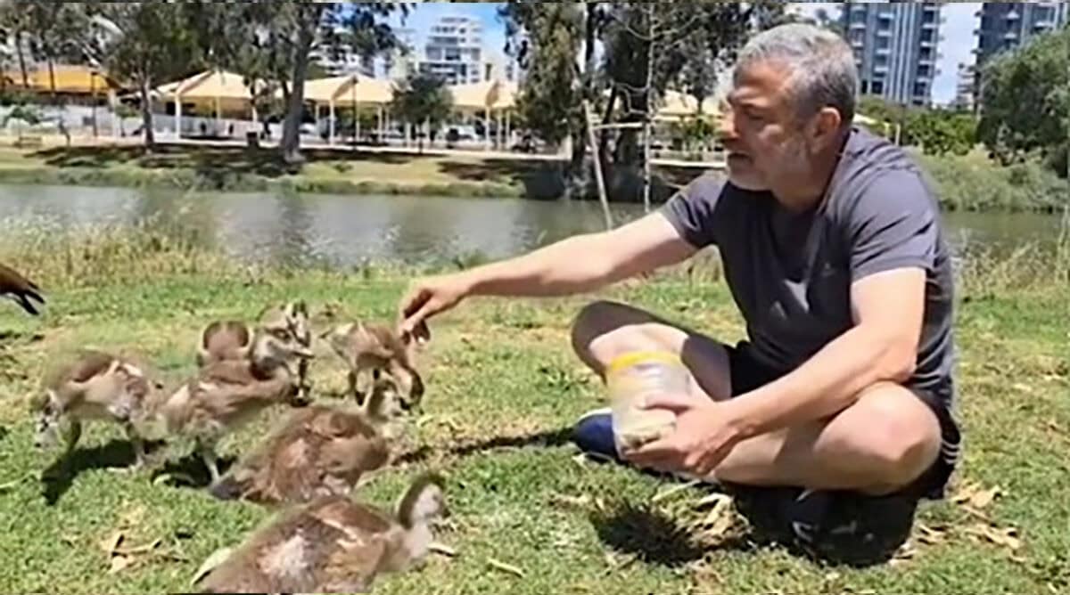 ינון מגל מאכיל ברווזים (צילום מסך, רשתות חברתיות) ינון מגל מאכיל ברווזים (צילום מסך, רשתות חברתיות)
